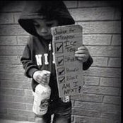 Brandi Williams's photo