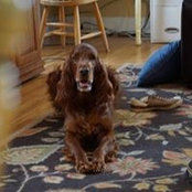 Donna Mcgonagill's photo