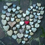Meggan Rice's photo