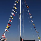 Lee Nell's photo