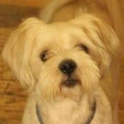 Rhonda Matzker's photo