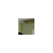 Chad Szala's photo