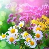 Maria Cesta's photo