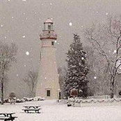 Joyce Cole-Goldstein's photo