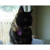 Tami Shires's photo