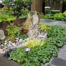 Shade Garden