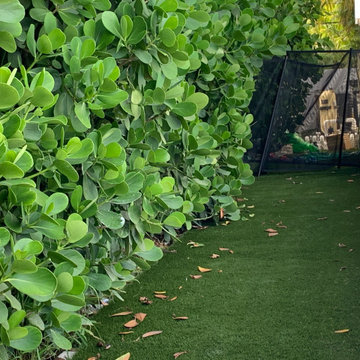 Artificial "Grass" Turf Projects
