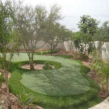 NBV Flowerbeds