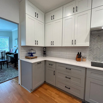 Transitional Kitchen Remodel Done in a Two-Tone Color