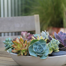 botanical potted vase