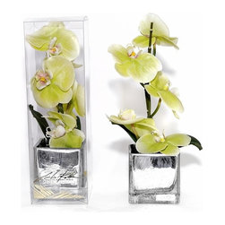 Green Phalaenopsis Silver Crackle Square - Products