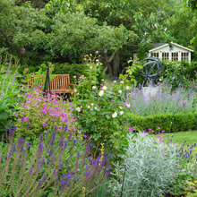 Landscaping Ideas