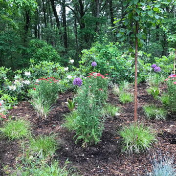 Soft Woodland Sweeps