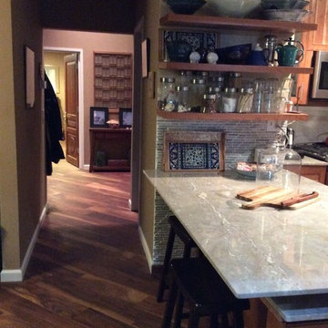 Contemporary kitchen and hallway