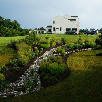 Conservation Meadowscape