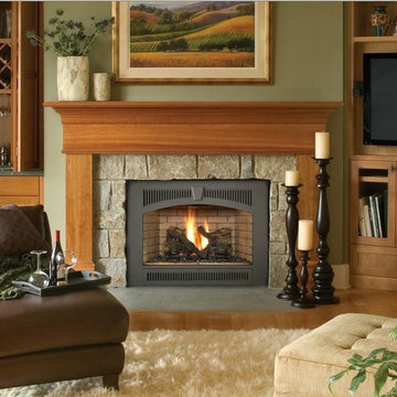 Fireplace Xtraordinair Design Gallery