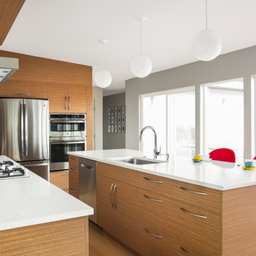 Contemporary Kitchen