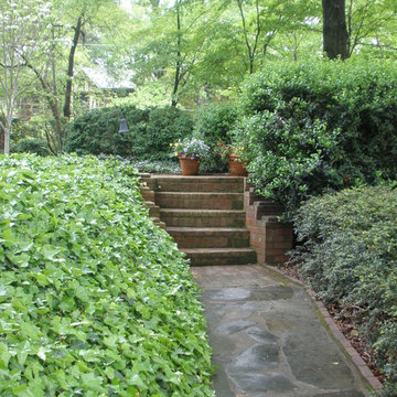 Landscape Management