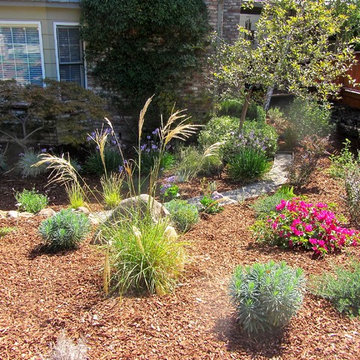 Lawn Replacement in a Challenging Environment