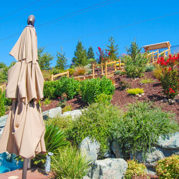 Terraced Backyard