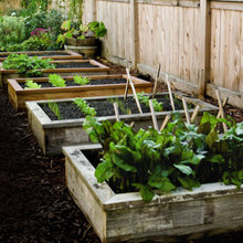 R&N Patio & Garden