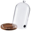VEVOR Smoking Gun Accessory Glass Cloche Dome Cover for Smoke Infuser Wood Base