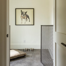 Dog Room