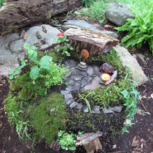 fairy gardens