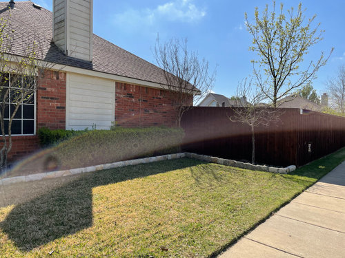 What could be done to update my front yard bushes?