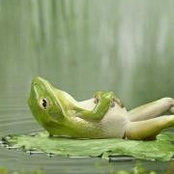 Natalie Lingley's photo