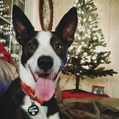 Stacy McNab's photo