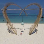 Cass Frentiu's photo