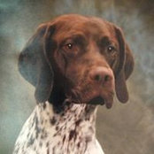 Odette Fetzner's photo