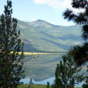 Drew McGhee's photo