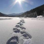 Ann Perrault's photo