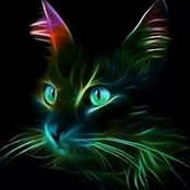 Susan Smith's photo