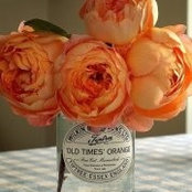 Darby Moraitakis's photo