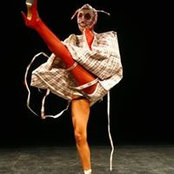 Laura Mitchison's photo