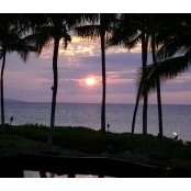 Allison Sieverding's photo