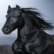 Leah Jacobsen's photo
