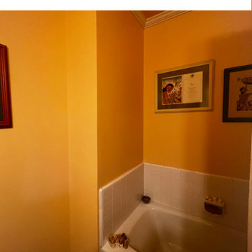 Earthy Bathroom Rennovation