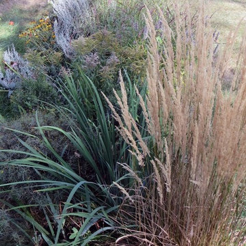 Garden with edible fence and native flowers
