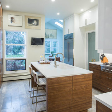 Bloomfield Hills, MI Contemporary Kitchen Remodel