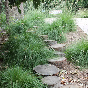 Ornamental Grass