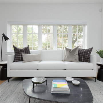 Living Room - Transitional