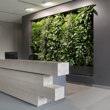 Vertical garden