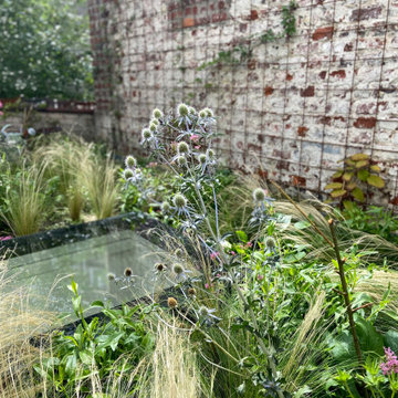 Toiture terrasse de 40m2 à Saint Gilles / Prairie fleurie