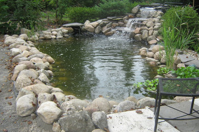 This is an example of a mid-sized contemporary full sun backyard gravel pond in Detroit.