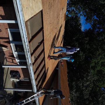 Asphalt Architectural Shingle Roof - Beltsville, MD