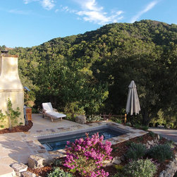 Original Endless Pools&reg; - Products